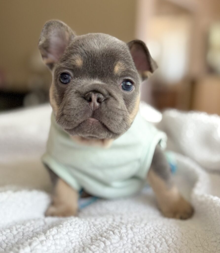 IMG_8878